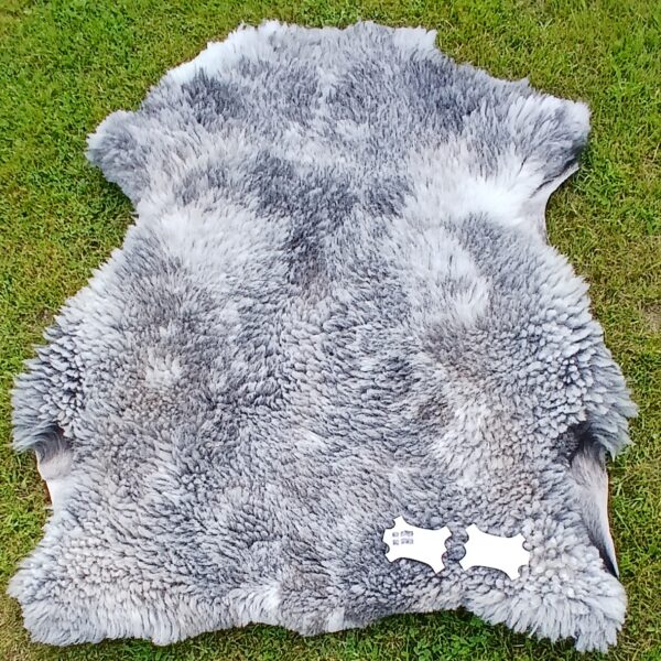 Erste eigene Felle von 2024